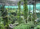 IMG 4852