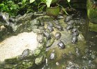 IMG 4855