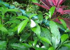IMG 4856