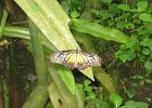 IMG 4858