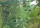 IMG 4859