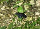 IMG 4861