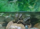 IMG 4863