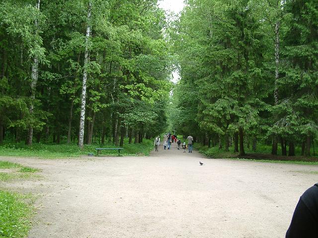 Rus10061.JPG