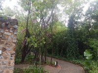 20191121 063236  Misty Hills Hotel, Muldersdrift, Johannesburg