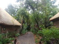 20191121 063239  Misty Hills Hotel, Muldersdrift, Johannesburg