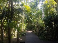 20191127 081310  Forest Lodge, santa Lucia