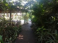 20191127 081327  Forest Lodge, santa Lucia