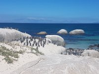 20191129 151955  Simon's town