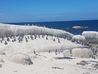 20191129 152120  Simon's town
