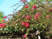 DSC00146