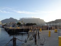 DSC00391  Table Mountain