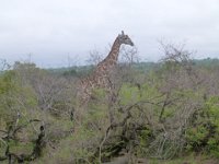 P1300655