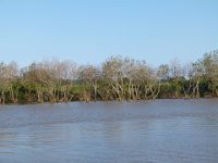 P1310031  Park santa lucia wetland