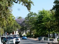 P1310084  Stellenbosch