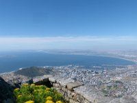 P1310138  Table Mountain