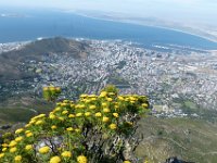 P1310145  Table Mountain