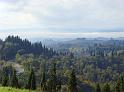 MonteOlivetoMaggiore1