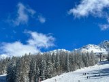 IMG-20220222-WA0015