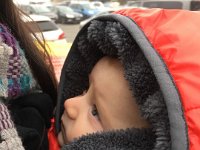IMG-20180304-WA0012